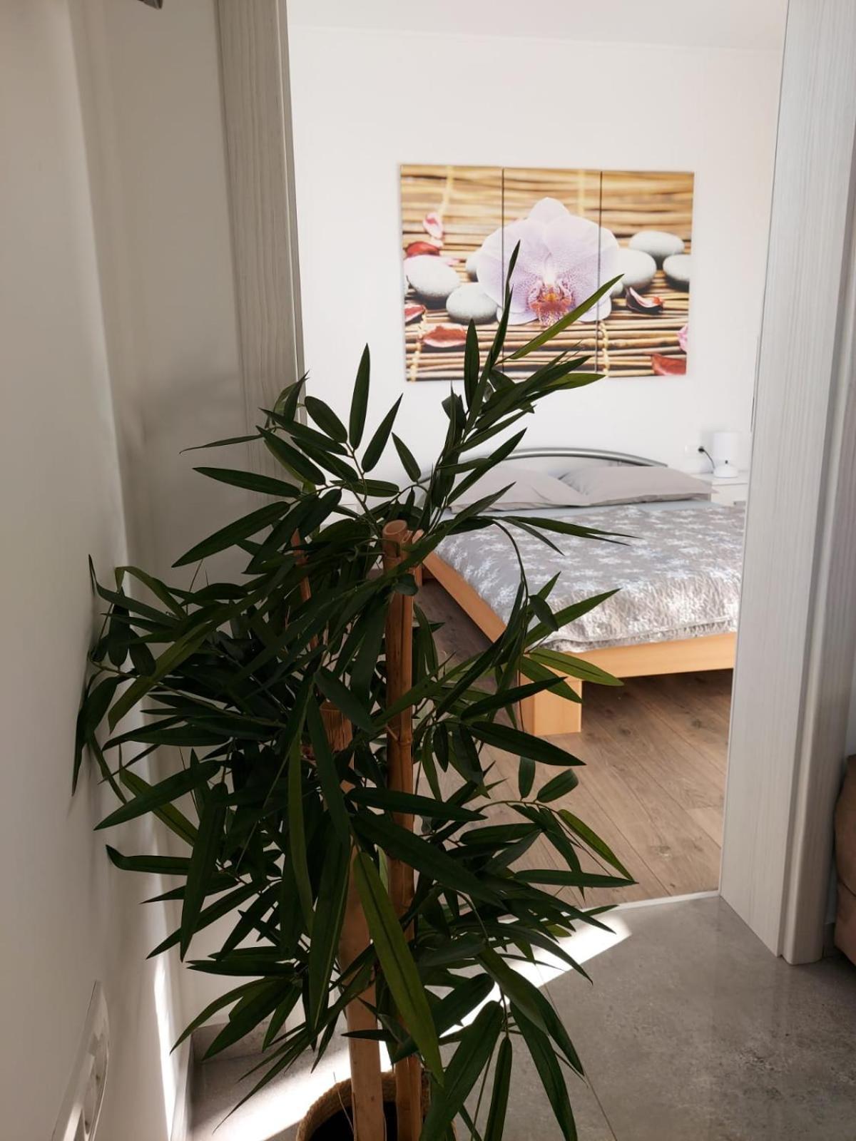 Holiday Apartment Marino 포르토로즈 외부 사진